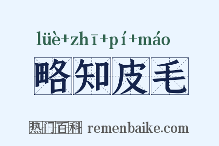 略知皮毛是什么意思的图片